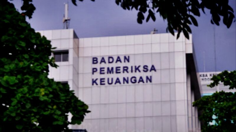 Badan Pemeriksa Keuangan