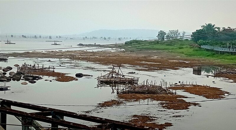 Poto : Penyusutan air Danau Kerinci (20/9/2026)