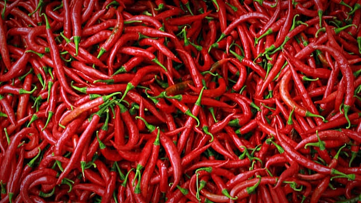 gambar : Cabai Mearah (searching)