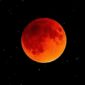 Blood Moon