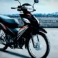Motor Suzuki Smash 115 2026 (searching)