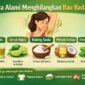 Gambar ilustrasi cara menghilangkan bau badan. AI