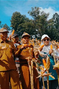 Wawako Azhar Panen Jagung Bersama BUMDes Sungai Ning