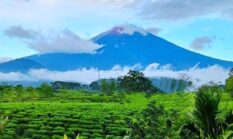 5 Fakta Menarik Gunung Kerinci, Gunung Tertinggi di Sumatra