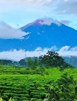 5 Fakta Menarik Gunung Kerinci, Gunung Tertinggi di Sumatra