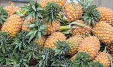 Sering Dijual di Jalan, Buah Ini Ternyata Penangkal Asam Urat