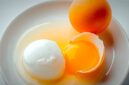 Gambar Putih telur dan Kuning telur