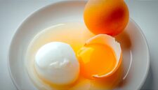 Gambar Putih telur dan Kuning telur