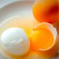 Gambar Putih telur dan Kuning telur