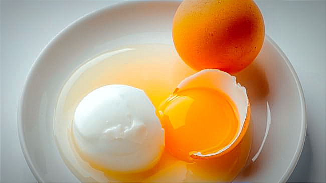 Gambar Putih telur dan Kuning telur