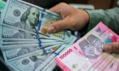 Gaji PPPK dan PPPK Paruh Waktu Masuk APBN? Honorer Minta Pemerintah Segera Bertindak