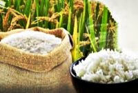 Harga Beras Naik 6 Bulan Berturut-turut, Inflasi Pangan Mengancam Daya Beli dan Kemiskinan.