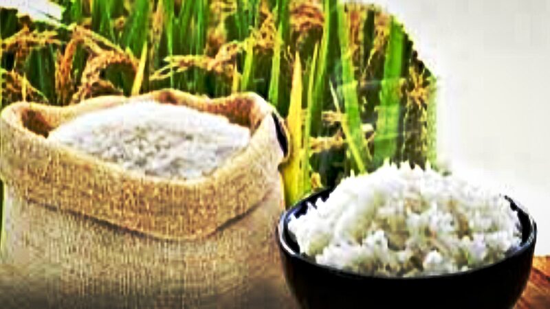 Harga Beras Naik 6 Bulan Berturut-turut, Inflasi Pangan Mengancam Daya Beli dan Kemiskinan.
