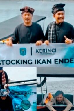 Bupati Monadi dan PT KMH Tebar Bibit Ikan Semah di Danau Kerinci